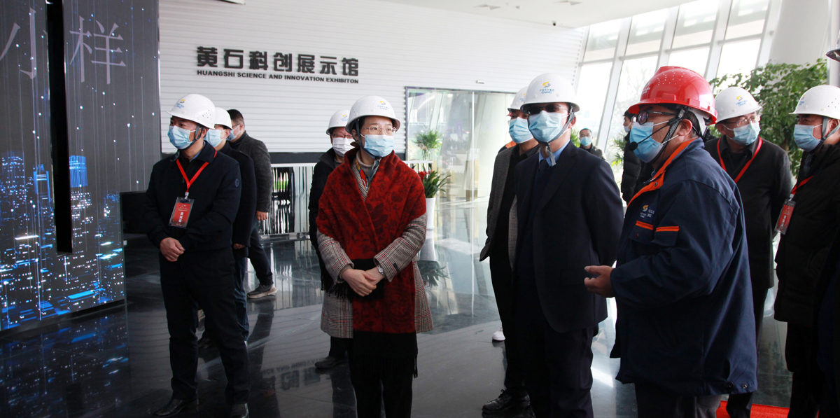 图为湖北省城乡和住房建设厅党组成员、副厅长龙宁（左二）在现场观摩。 (1).jpg