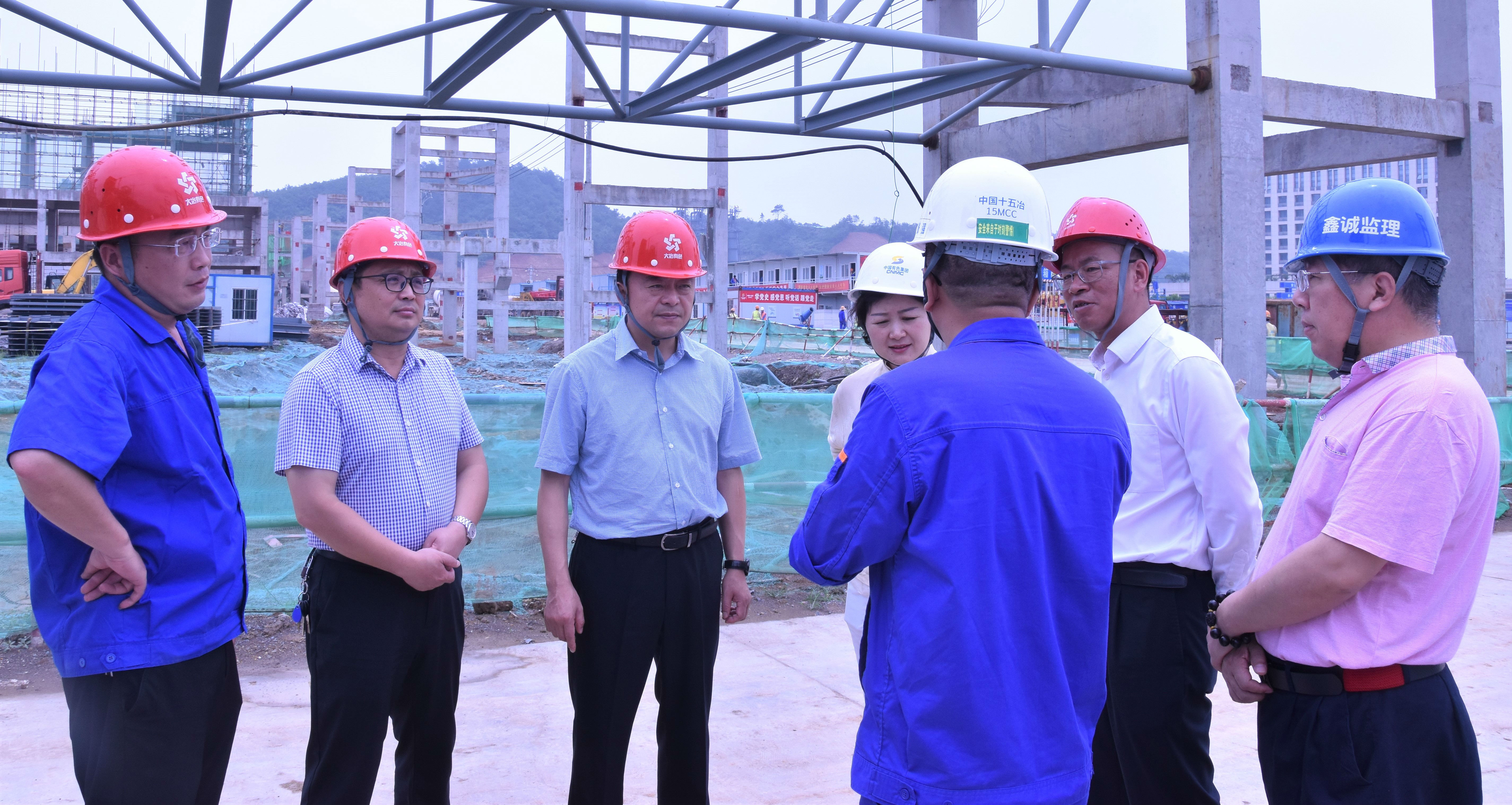 市政府党组成员、副市长何运平等领导到阳新弘盛项目视察2.jpg